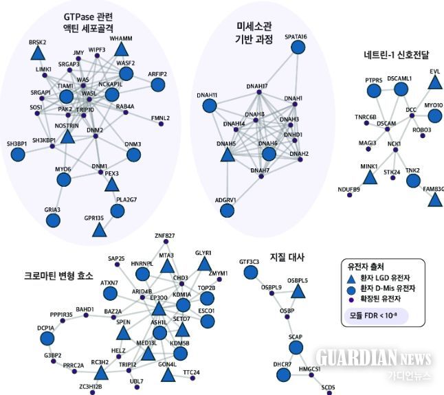 척수수막류 관련 유전자 및 생물학적 기능 네트워크