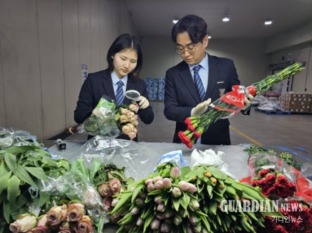 수입 화훼류 현장검역