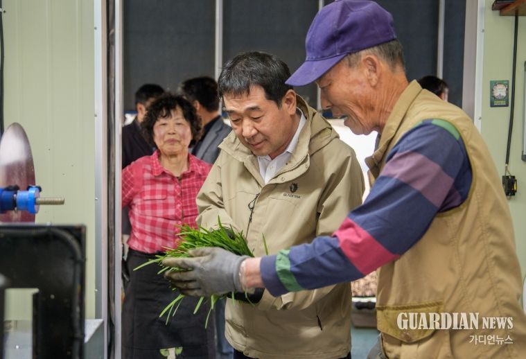 증평 장뜰부추, 올해 첫 출하