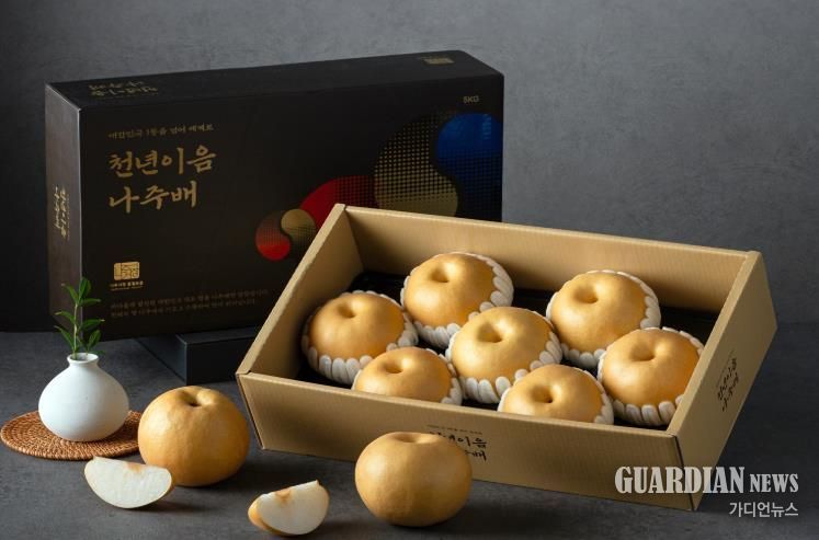 나주시, 생장촉진제 무처리 ‘고품질 나주배’ 재배 확대 교육